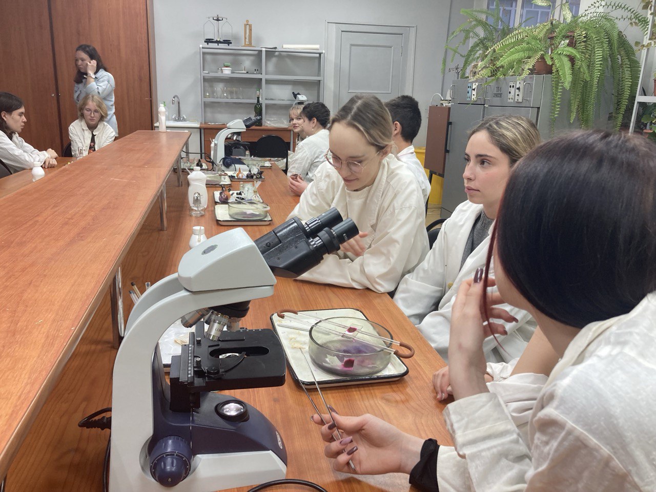Пермский педагогический стал региональной площадкой федерального проекта «Билет в будущее»